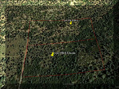 Google Looking North.jpg (156848 bytes)