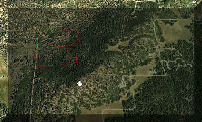 Google aerial high unmarked.jpg (191724 bytes)