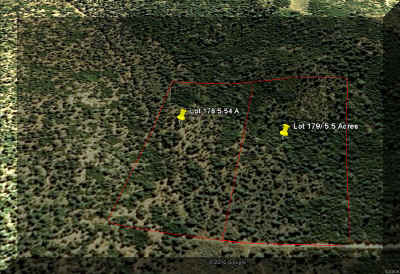 Google close up aerial.jpg (160008 bytes)