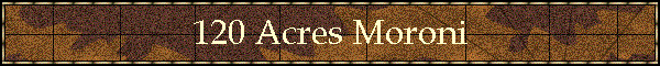 120 Acres Moroni